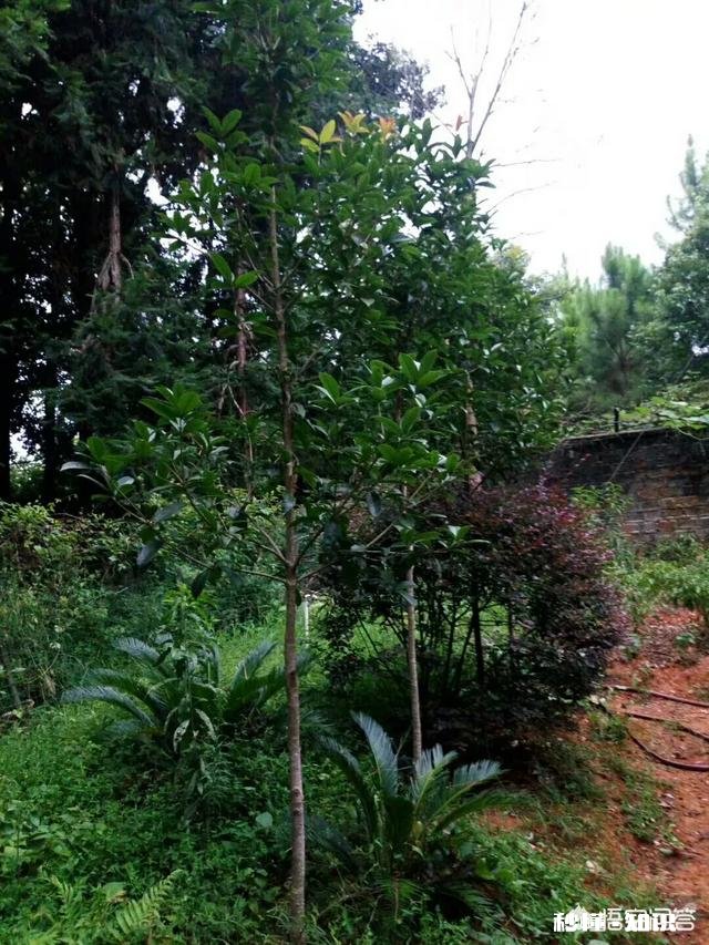 男人如何让自己变得更优秀