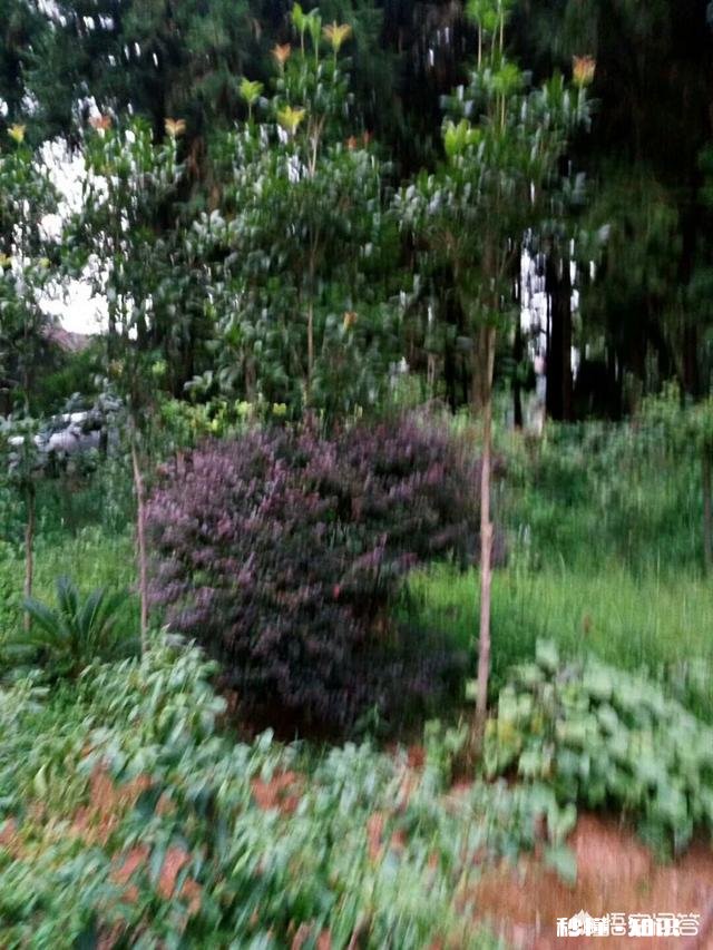 男人如何让自己变得更优秀