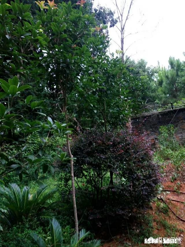 男人如何让自己变得更优秀