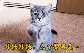 UZI家中荣誉墙曝光,奖杯多到摆不下,桌上惊现“诡异道具”,细思极恐,你有何看法