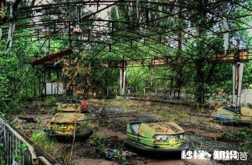 灭绝了一种动物。世界即将毁灭，你知道是哪种动物嘛