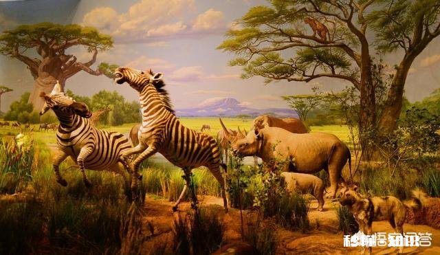 灭绝了一种动物。世界即将毁灭，你知道是哪种动物嘛