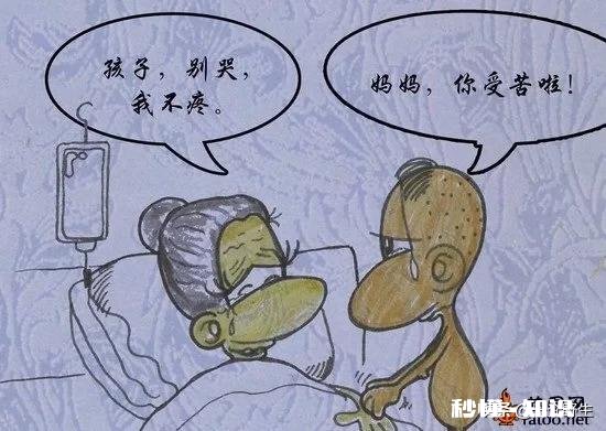 你在头条看到最动人的一句话是什么