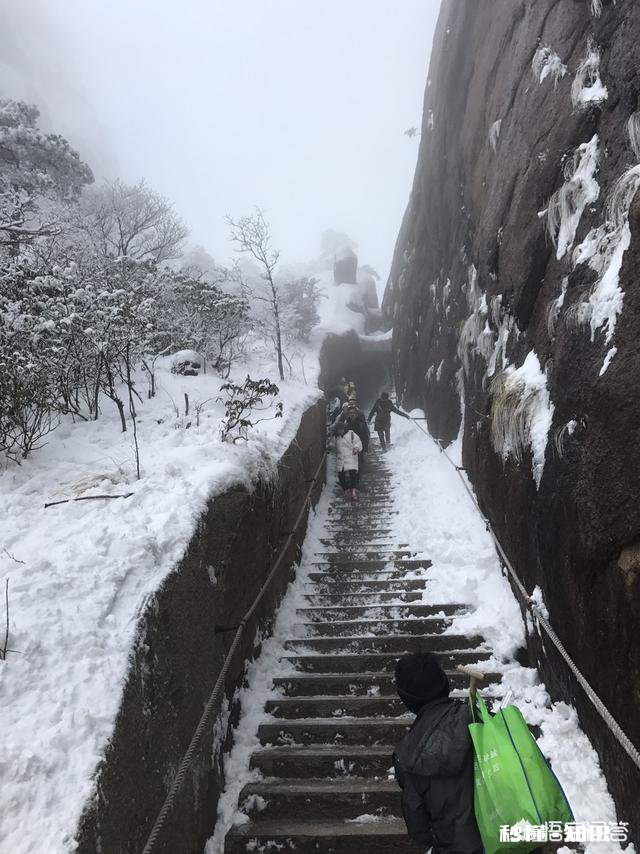 春节期间为什么旅行社收费这么贵
