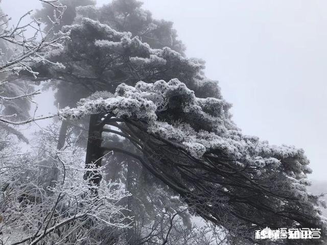 春节期间为什么旅行社收费这么贵