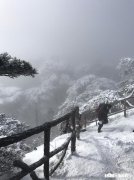 春节期间为什么旅行社收费这么贵