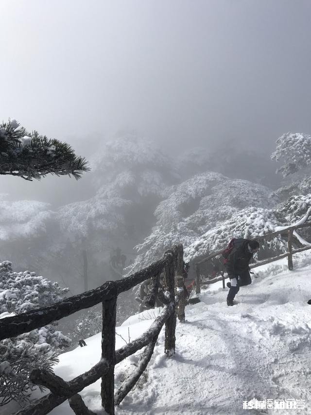 春节期间为什么旅行社收费这么贵