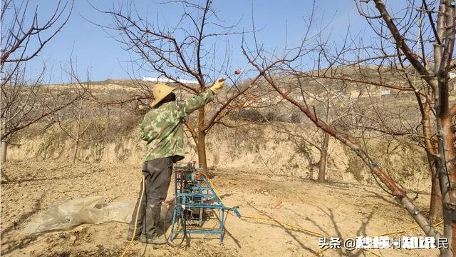 三农的你，春耕生产你做了哪些事件事物的意义又有哪些突出性