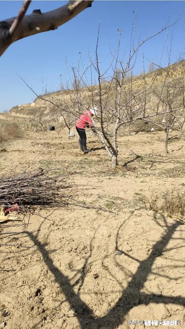 三农的你，春耕生产你做了哪些事件事物的意义又有哪些突出性