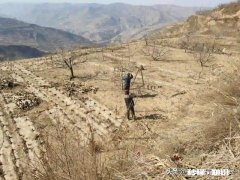 三农的你，春耕生产你做了哪些事件事物的意义又有哪些突出性