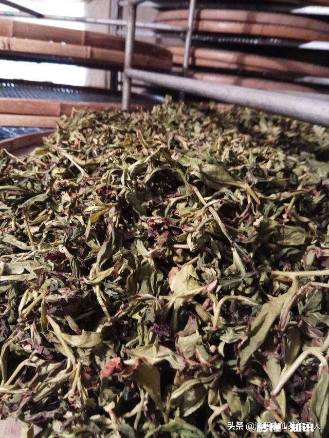 三农的你，春耕生产你做了哪些事件事物的意义又有哪些突出性