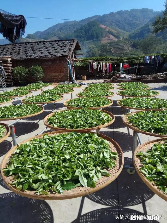 三农的你，春耕生产你做了哪些事件事物的意义又有哪些突出性