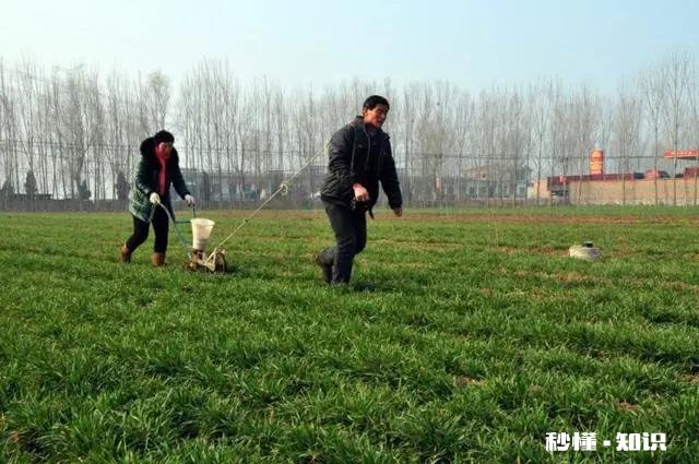 三农的你，春耕生产你做了哪些事件事物的意义又有哪些突出性