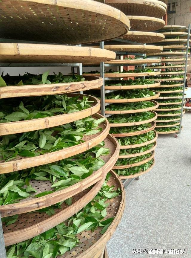 三农的你，春耕生产你做了哪些事件事物的意义又有哪些突出性