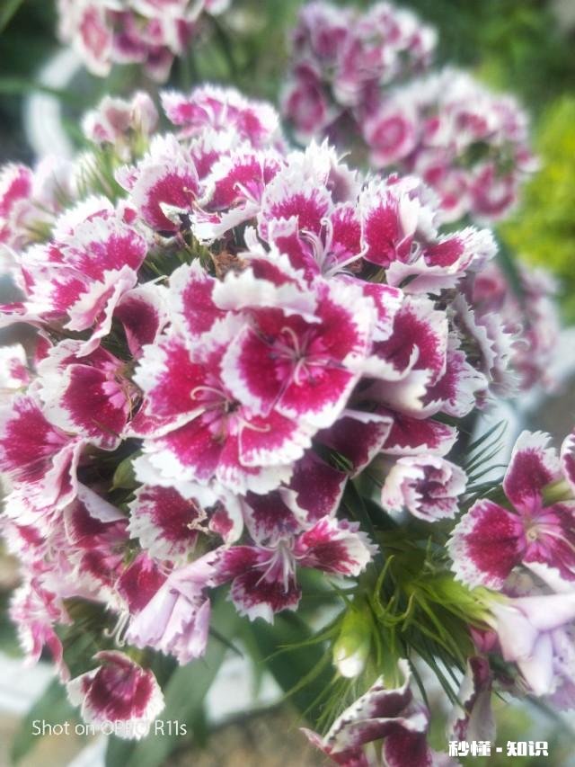 我怎么能看头条，领钱