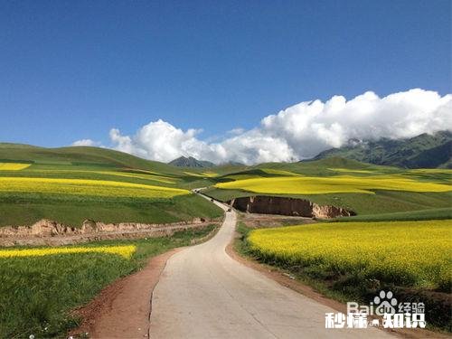 有北京到青海自驾游路书吗