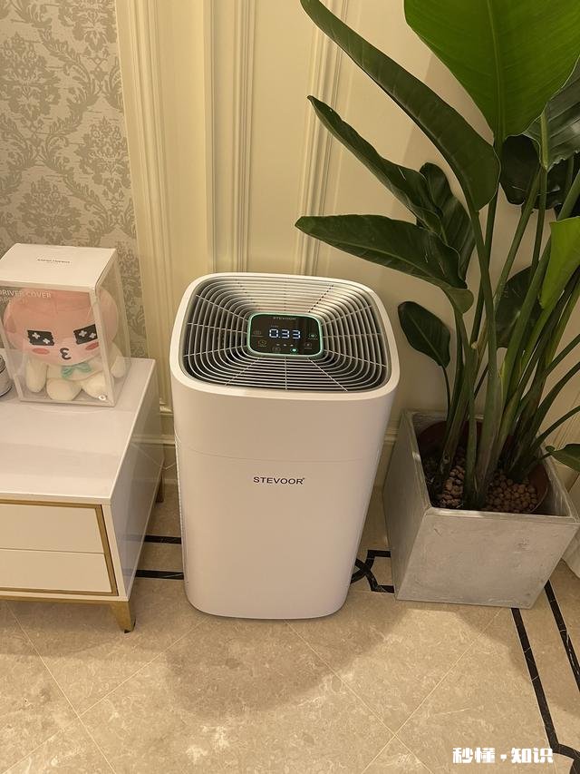 怎样才能除甲醛