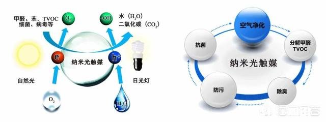 怎样才能除甲醛