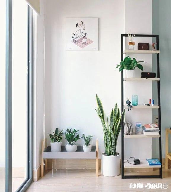 怎样才能除甲醛