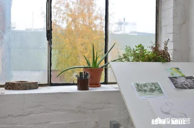 怎样才能除甲醛