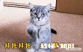 如果没有游戏怎么办