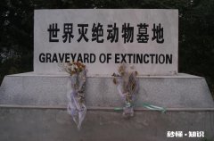 人类是哪些动物的天敌