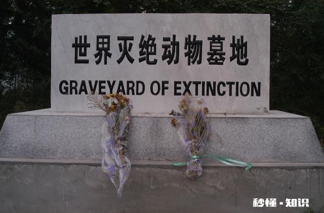 人类是哪些动物的天敌