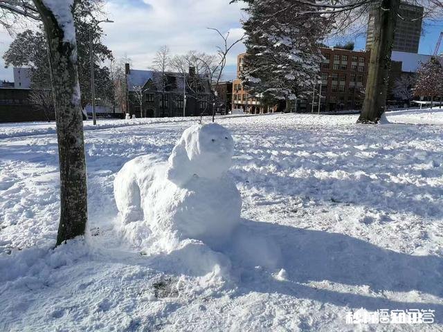雪乡明码标价就不算宰客了吗那么高的价格，你愿意去吗