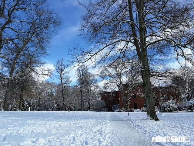 雪乡明码标价就不算宰客了吗那么高的价格，你愿意去吗