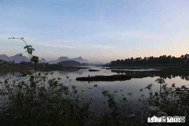 贵州平坝樱花开了吗