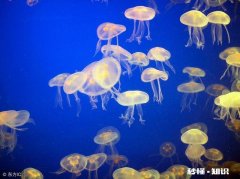 人到什么时候可以永生