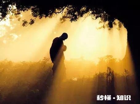 成人读经典有什么好处