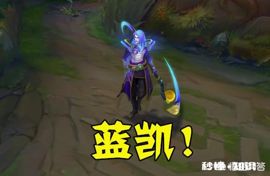 英雄联盟中哪些英雄能称为ad去质器