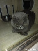 为什么有时候会「困到要崩溃，还是睡不着」身体到底是想睡还是不想睡