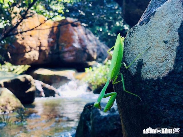 读书的时候静不下心来，有什么好的办法推荐吗