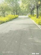 烟酒戒了后，大家都在干嘛呢