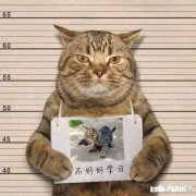 和男朋友有点儿腻了，生命中出现了一个更好的人选，但是不想离开男朋友，该怎么做