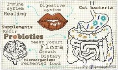 高纤维的食品能帮忙清理肠道、排毒吗