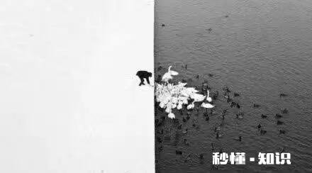 您对沅茵、余秀华及相关的网络文化现象怎么看