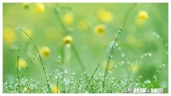 还有20多天就2020年了，说一说2019年你收获了什么