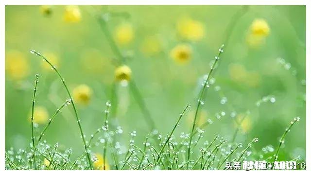 还有20多天就2020年了，说一说2019年你收获了什么