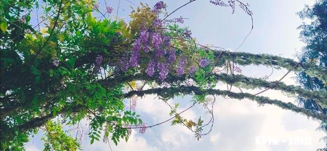 云旅游对实体旅游冲击大吗旅游业云创作是不是未来的发展的主要方向