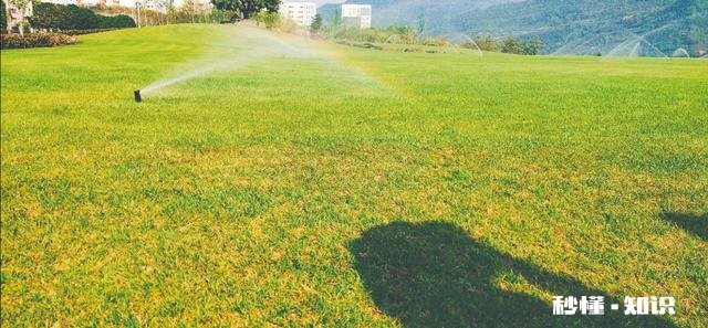 云旅游对实体旅游冲击大吗旅游业云创作是不是未来的发展的主要方向