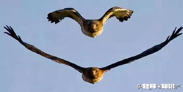 茶吧机不关电源费电吗