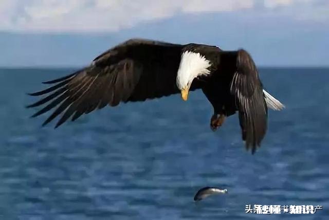 茶吧机不关电源费电吗