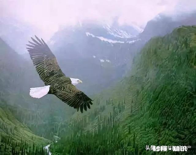 茶吧机不关电源费电吗