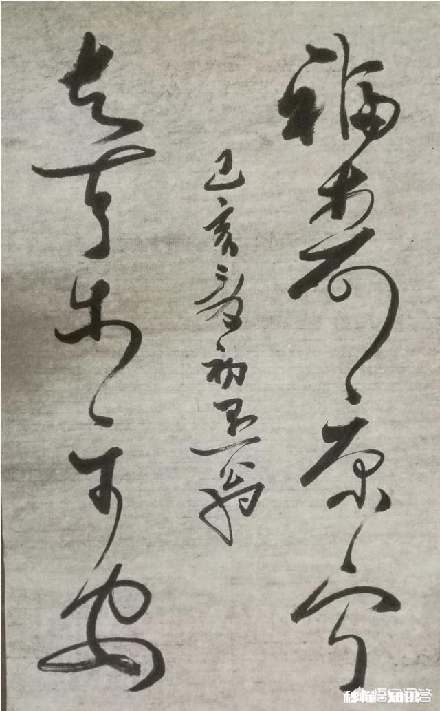 托尔斯泰，性格有什么优缺点