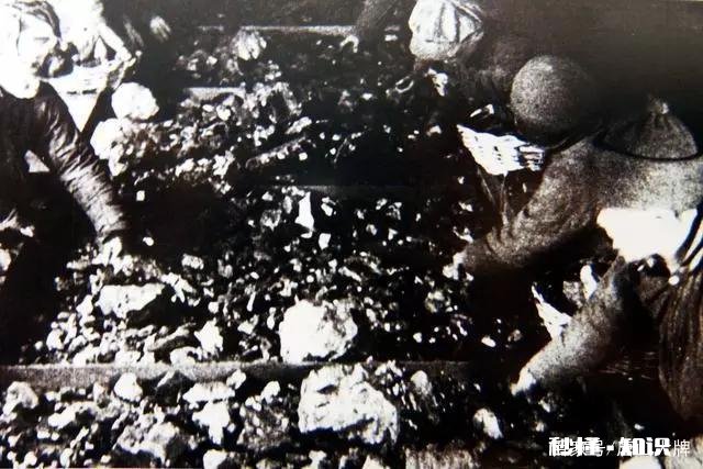 从小到大你人生的第1次旅游是什么时候