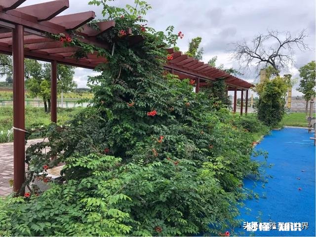 从小到大你人生的第1次旅游是什么时候