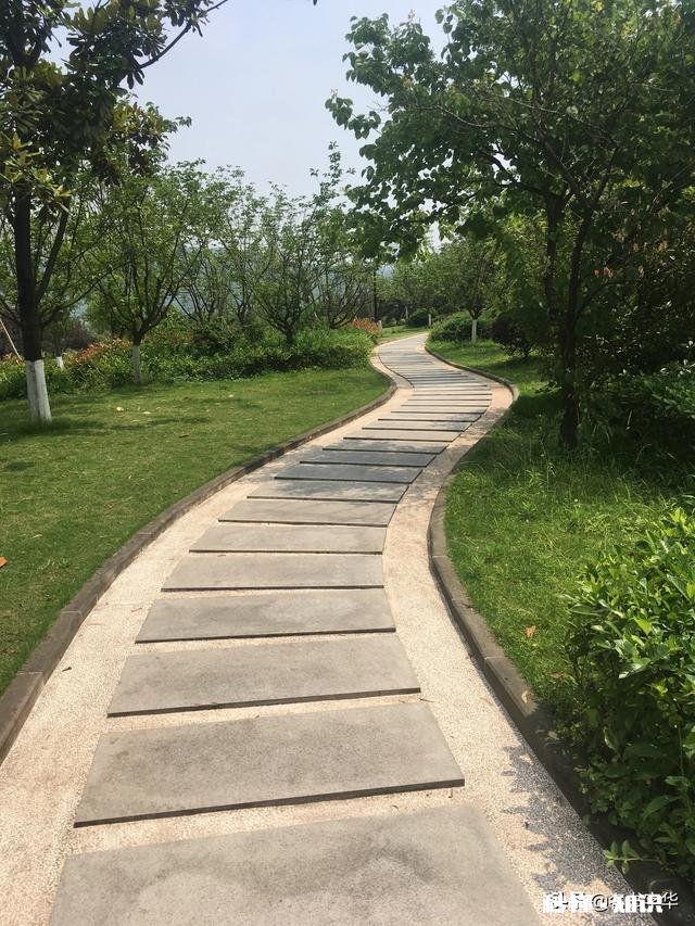 520需不需要送礼物